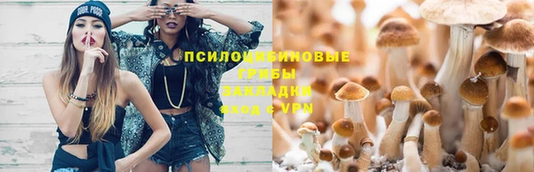 прущий лед Осинники