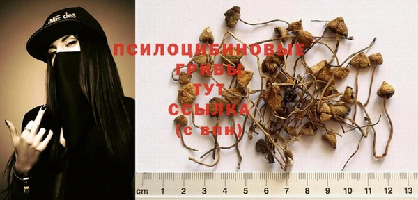мдпв Остров