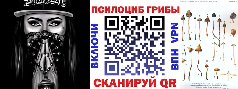 Галлюциногенные грибы Psilocybine cubensis  Чегем 